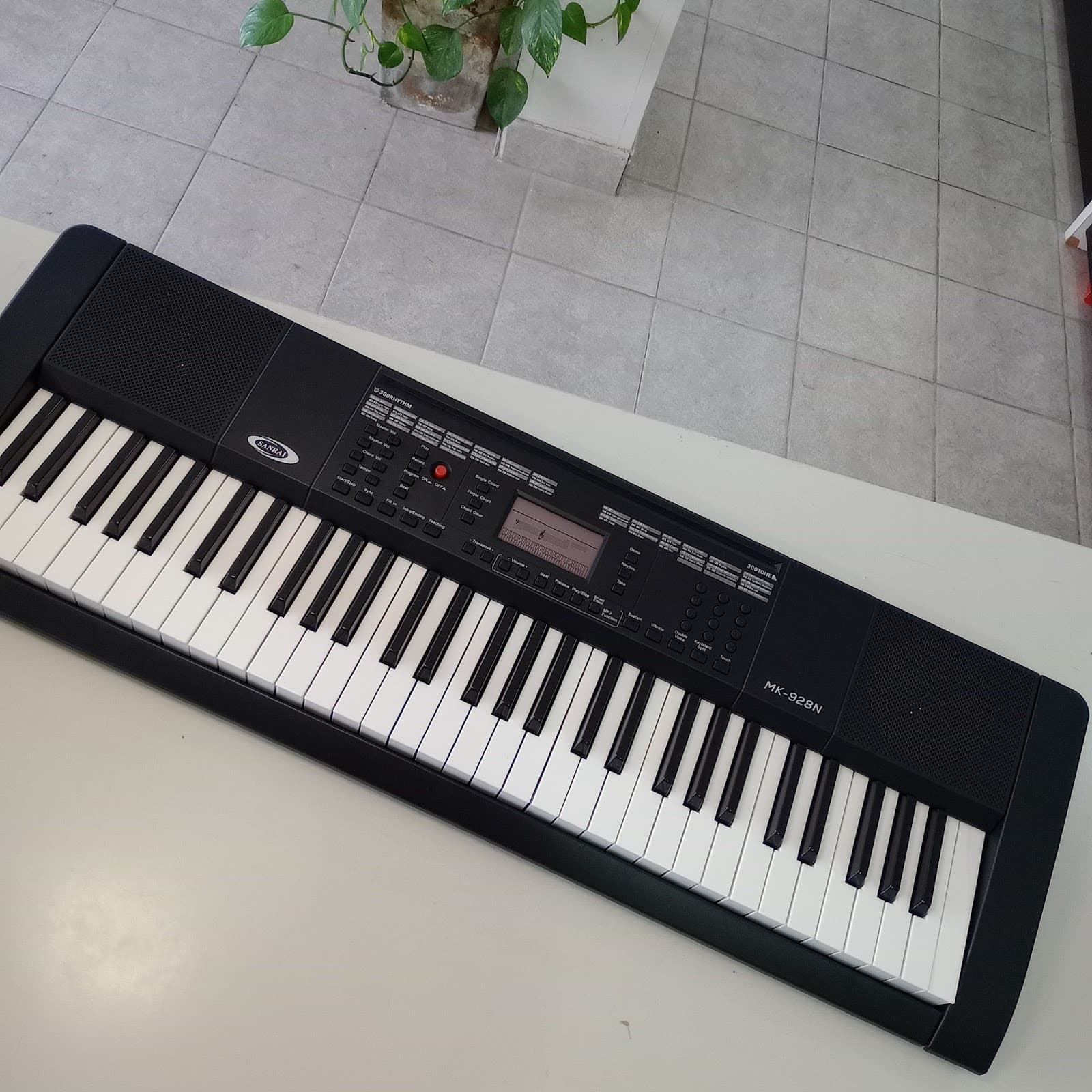 organo sanrai mk928 61 teclas 2